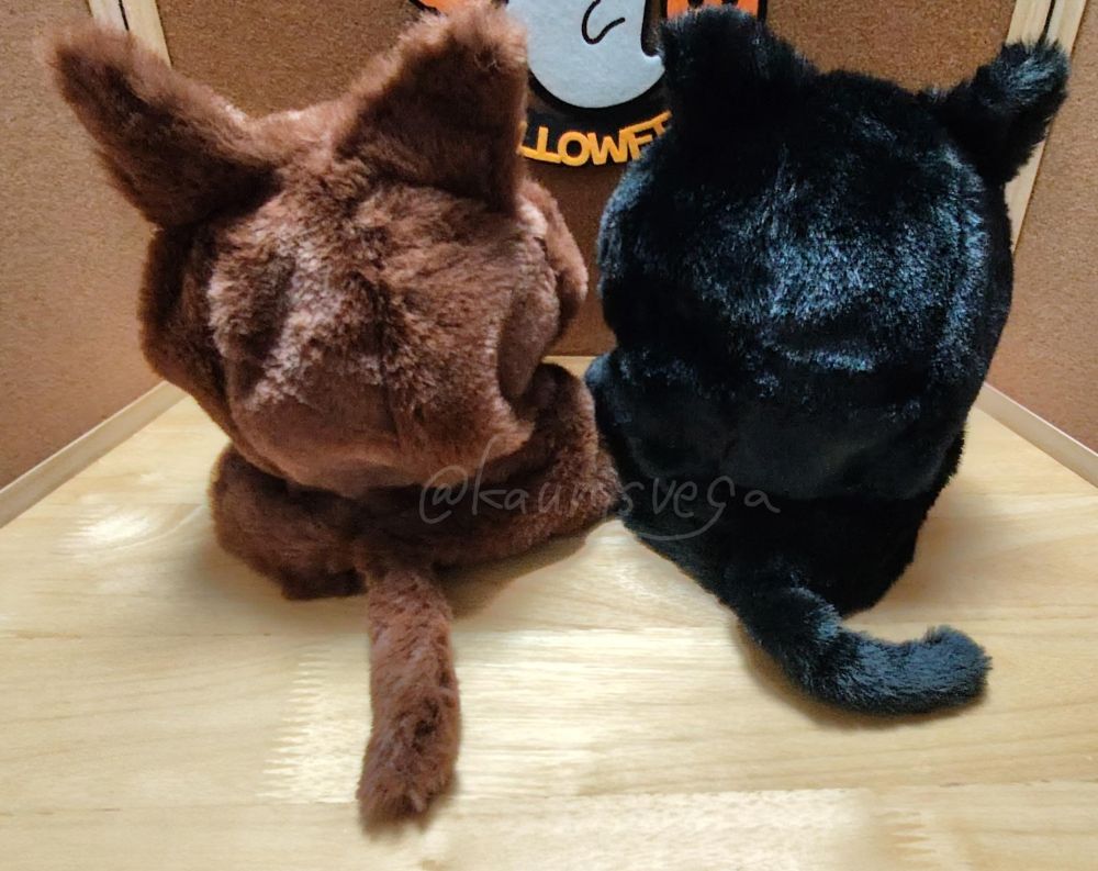 バディちゃんの後ろ姿の写真。
狼の尻尾はまっすぐ、黒猫の尻尾はくるんとカーブしている。