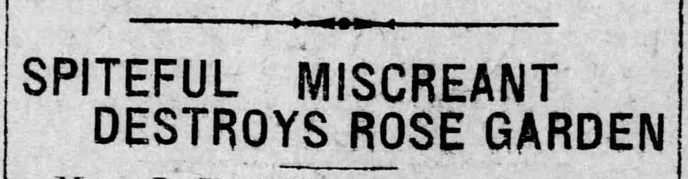SPITEFUL MISCREANT DESTROYS ROSE GARDEN
--Oakland Tribune, 27 March 1912