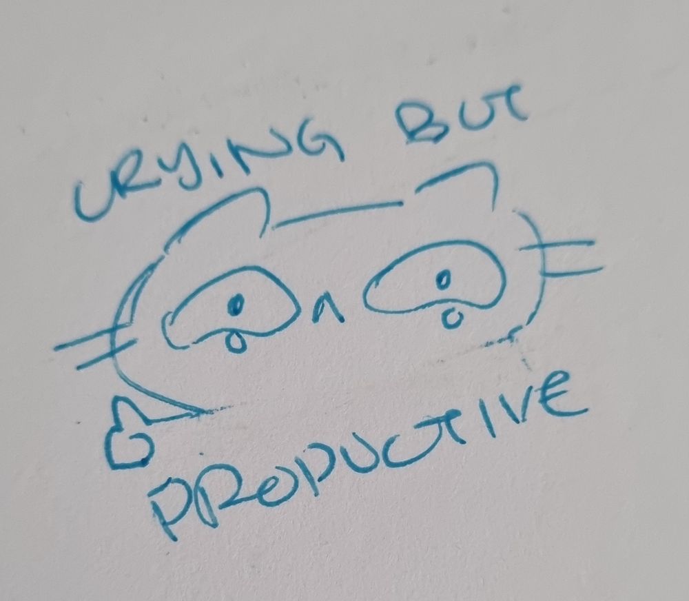 A photo of a sad cat holding a thumbs up. The text reads crying but productive.