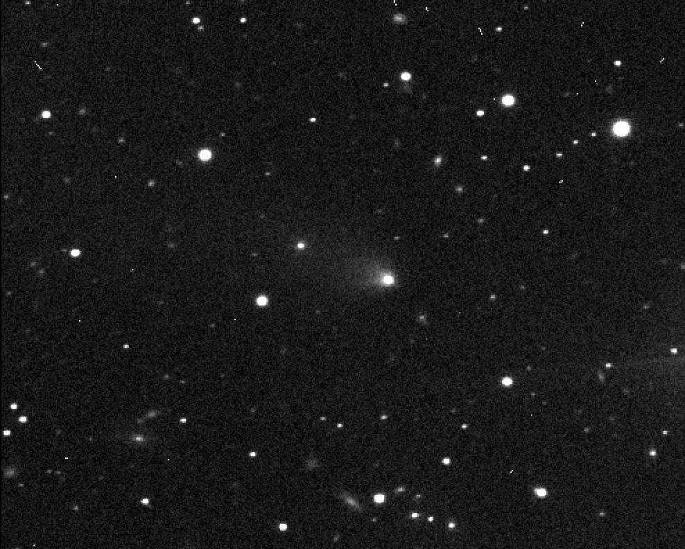 A comet is seen as a fuzzy, tailed blob against a backdrop of stars.