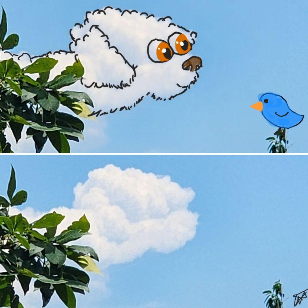 Dog and bird pals cloud things. 
