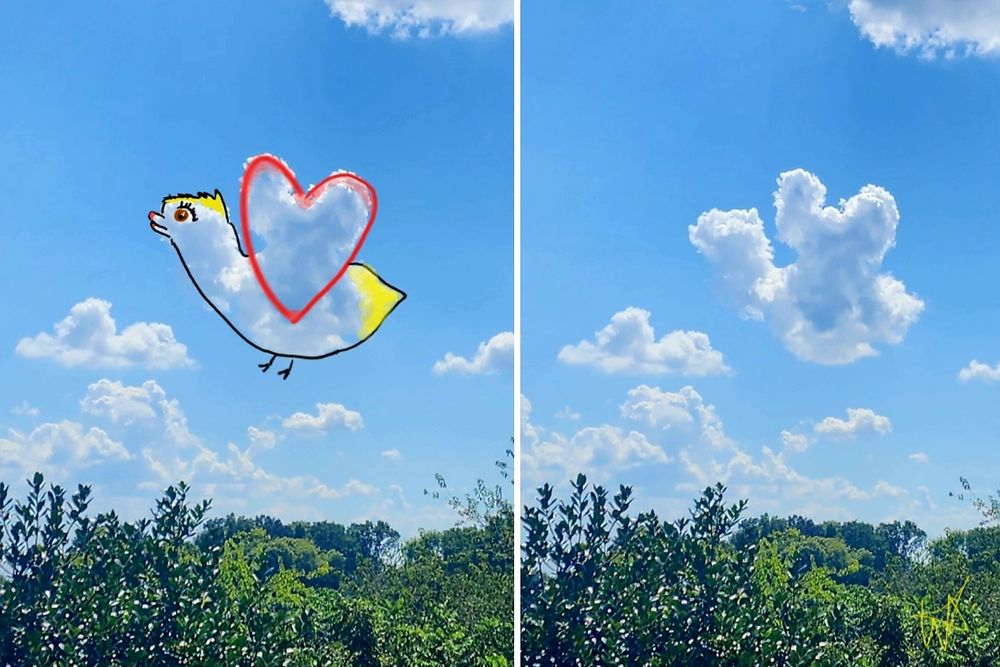 Two photos of one cloud. 1 shows what the cloud inspired me to draw. My 1st Cloudthing was a helicopter on 10 June 2018 and I have been doing them ever since, some are old, some are new, some I spend 5 minutes on, some I spend 20 minutes on. Frivolous fleeting fun because why not. 😺☁️