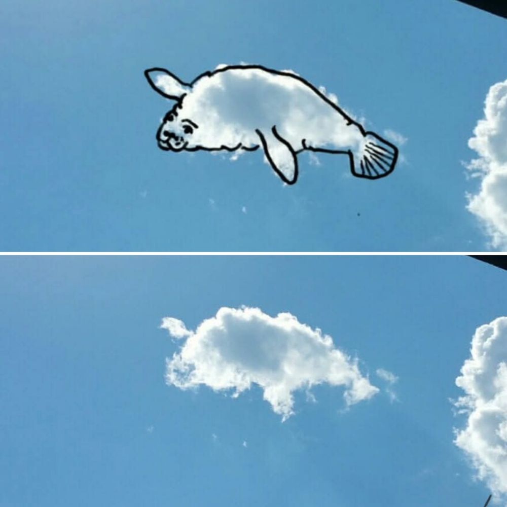 Two photos of one cloud. 1 shows what the cloud inspired me to draw. My 1st Cloudthing was a helicopter on 10 June 2018 and I have been doing them ever since, some are old, some are new, some I spend 5 minutes on, some I spend 20 minutes on. Frivolous fleeting fun because why not. 😺☁️