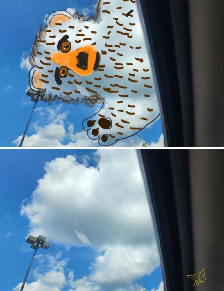 Two photos of one cloud. 1 shows what the cloud inspired me to draw. My 1st Cloudthing was a helicopter on 10 June 2018 and I have been doing them ever since, some are old, some are new, some I spend 5 minutes on, some I spend 20 minutes on. Frivolous fleeting fun because why not. 😺☁️
