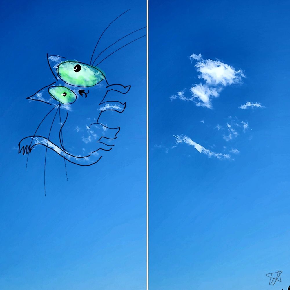 Bluesky cloudthing - cat!