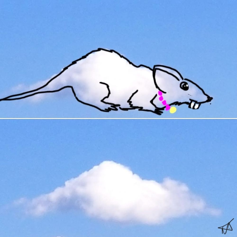 Rat cloud 