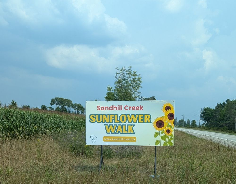 Sign advertising a sunflower walk