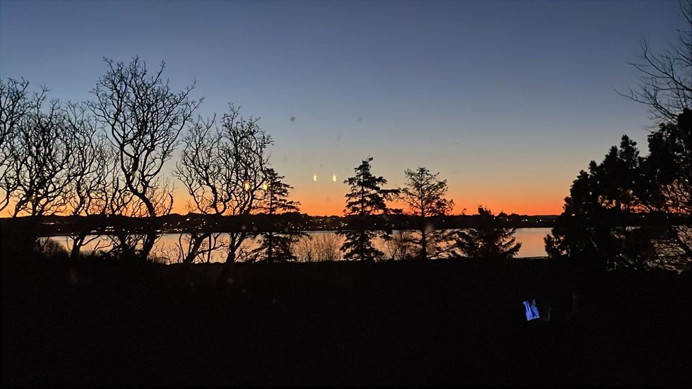 Sunrise in Norway. A line of trees are silhouetted against the night sky. A thin line of orange glows on the horizon and is reflected on an inlet of sea in the middle distance. 