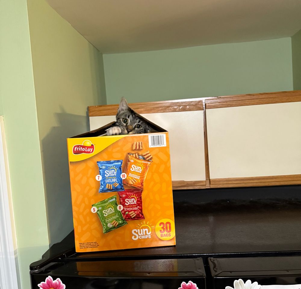 Comment image