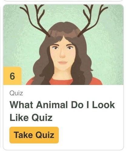 What Animal Do I Look Like Quiz?

Illustrated with a drawing of a woman with large antlers