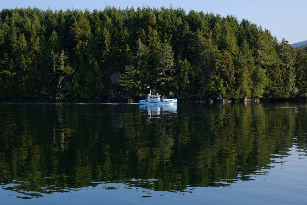 A pale blue boat - matching the colour of the sky - heads out to sea from Ucluelet on Vancouver Island’s west coast, on a sunny day. It stands out against the dark green wooded hillside which is silhouetted against the sky, and all is perfectly reflected on the surface of a flat, calm sea. 
