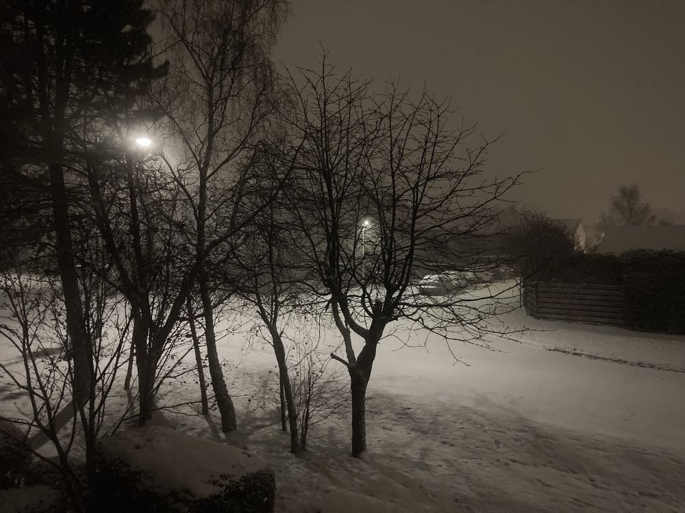 A streetlight shines through the bare branches of the trees, illuminating a snow-covered street in the early hours before the morning traffic breaks through the drift in this monochromatic photograph. 