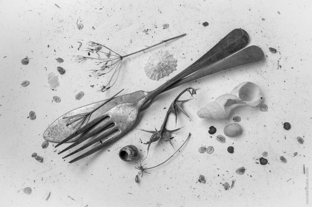 Still life with fork and fish-knife; scan of 35mm film negative.