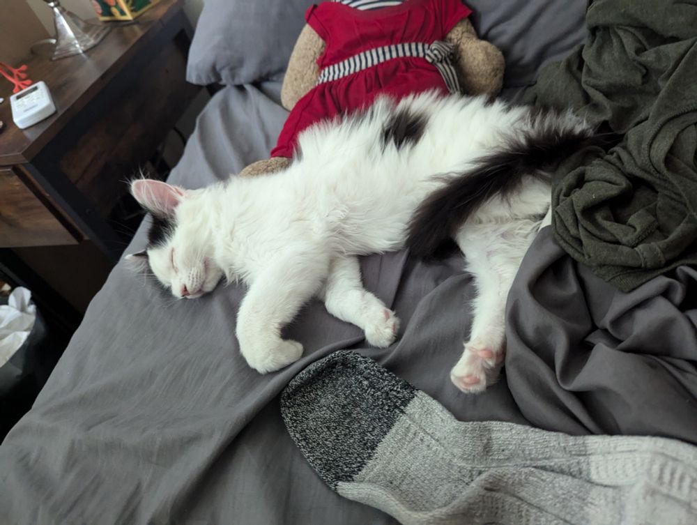 A white kitten with black spots with his eyes closed on his side laying on a bed with gray sheets with a teddy bear in a red dress above him 