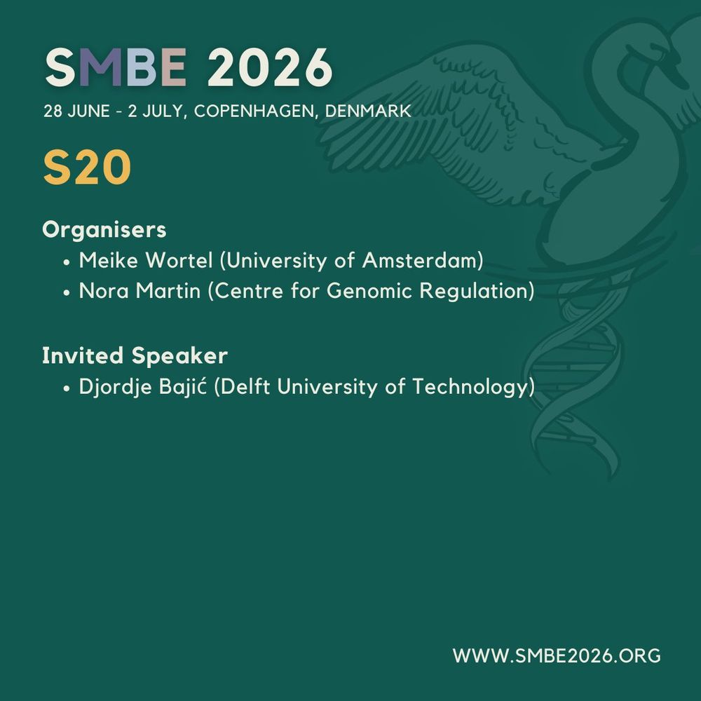 SMBE2026 Symposium 20 | Mapping fitness landscapes with mechanistic models, machine learning and experiments

Organisers
- Meike Wortel — University of Amsterdam, the Netherlands (Female)
- Nora Martin — Centre for Genomic Regulation (CRG), Spain (Female)

Invited Speaker
- Djordje Bajić — Delft University of Technology, the Netherlands (Male)