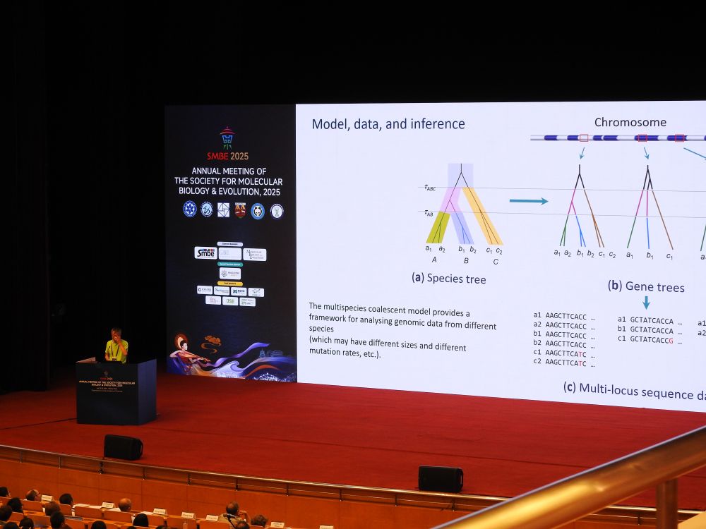 Ziheng Yang, SMBE2025 - Six impossible things to believe before breakfast, about gene flow