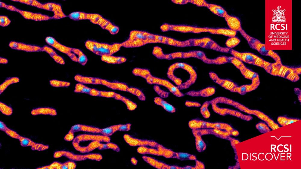 Microscopy image of mitochondria, stained to highlight their elongated, branched structures in vivid orange and pink tones, with bright cyan areas indicating stained nuclei or other subcellular components. The background is black for contrast. Overlay includes the RCSI University of Medicine and Health Sciences crest and the RCSI Discover branding.
