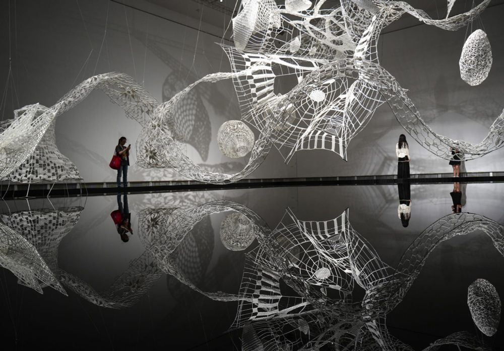 a large-scale installation of white fiber by Choi + Shine