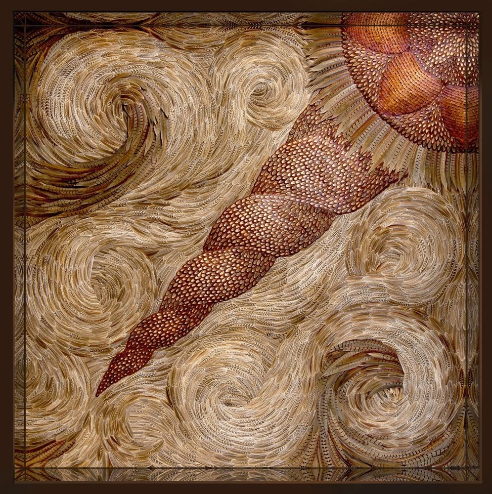 a swirling composition of patterned feathers