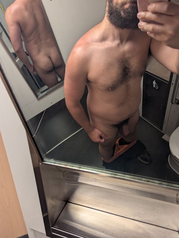 A naked selfie in the train bathroom, a mirror shot showing the front and back