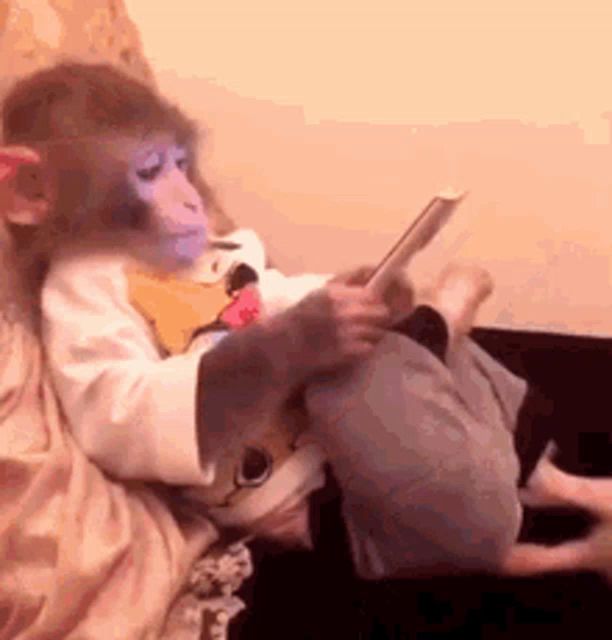 a monkey is sitting on a couch looking at a tablet .