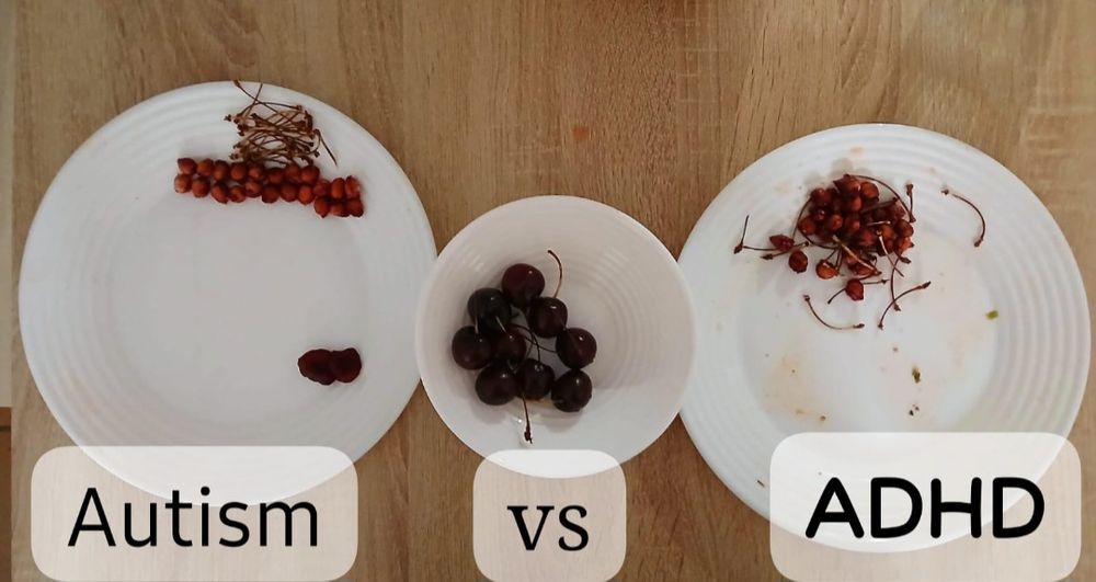 Two plates of cherries. Organised pits versus disorganized pits which are showing the difference between autism and ADHD.