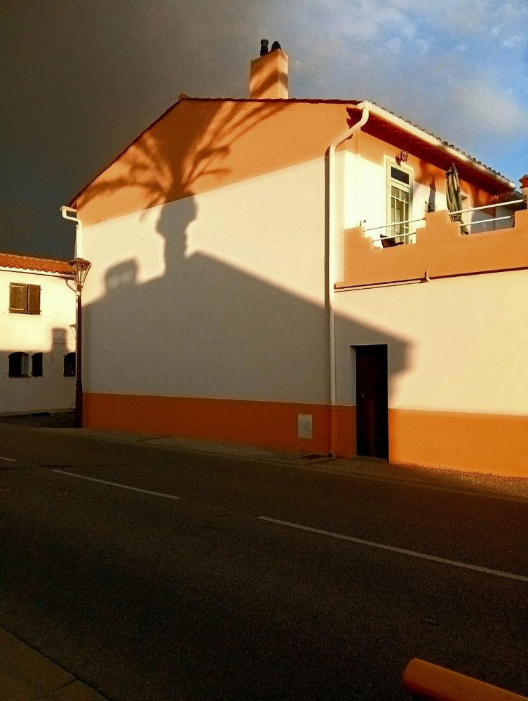 Ombre d’un palmier et d’une maison sur une maison orange et jaune avec ciel sombre de fumée d’incendie.
