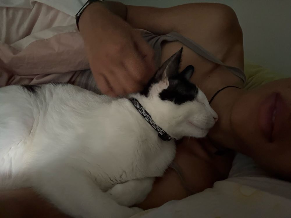 Me in bed with my tuxedo cat and he’s looking at my chin as I’m laying sideways and he’s laying in front of me and I’m petting the back of his neck