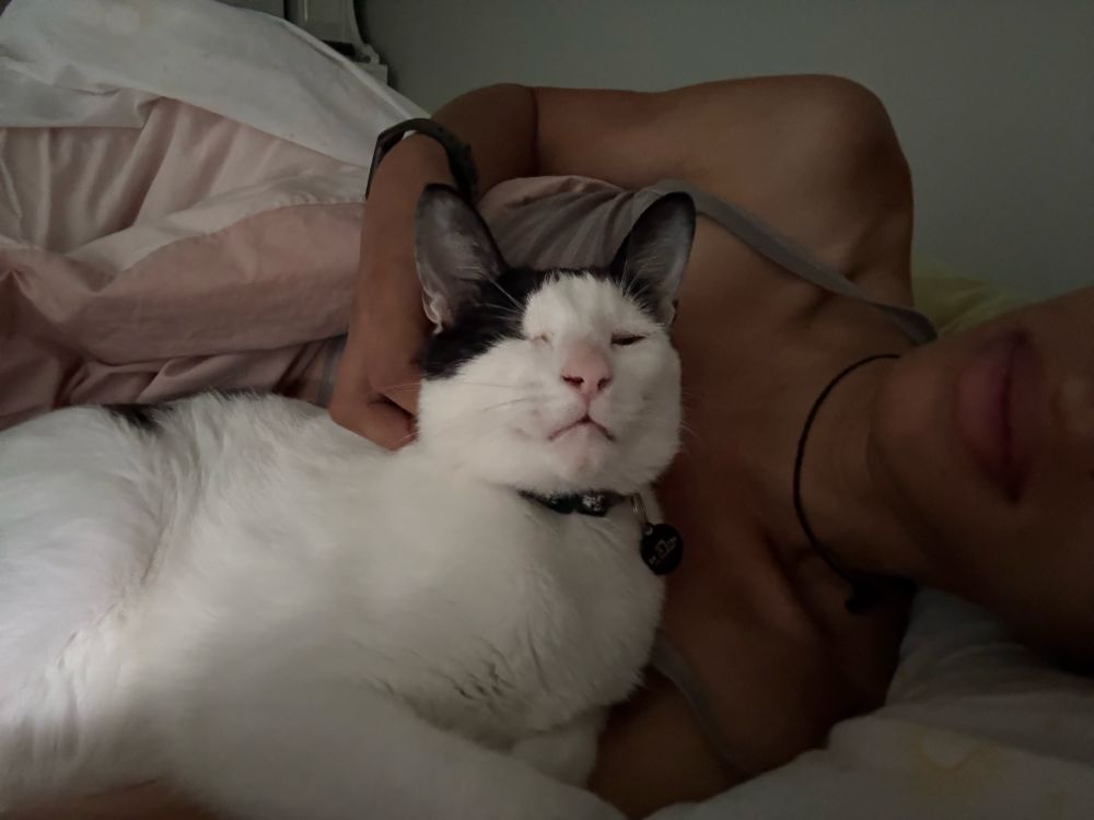 Me in bed with my tuxedo cat and he’s squinting at the camera with his one eye. I’m laying sideways and he’s laying in front of me