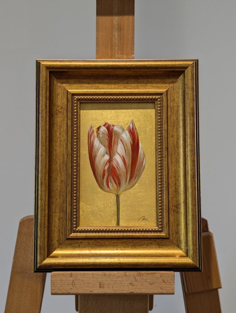 A painting of Dutch heritage tulip Zilver Standaard (1760) on 24ct gold on copper.