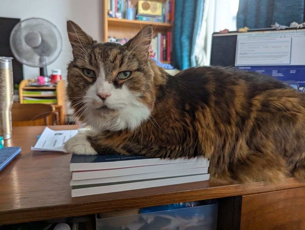 A fluffy cat with no boundaries lays on top of a pile of books