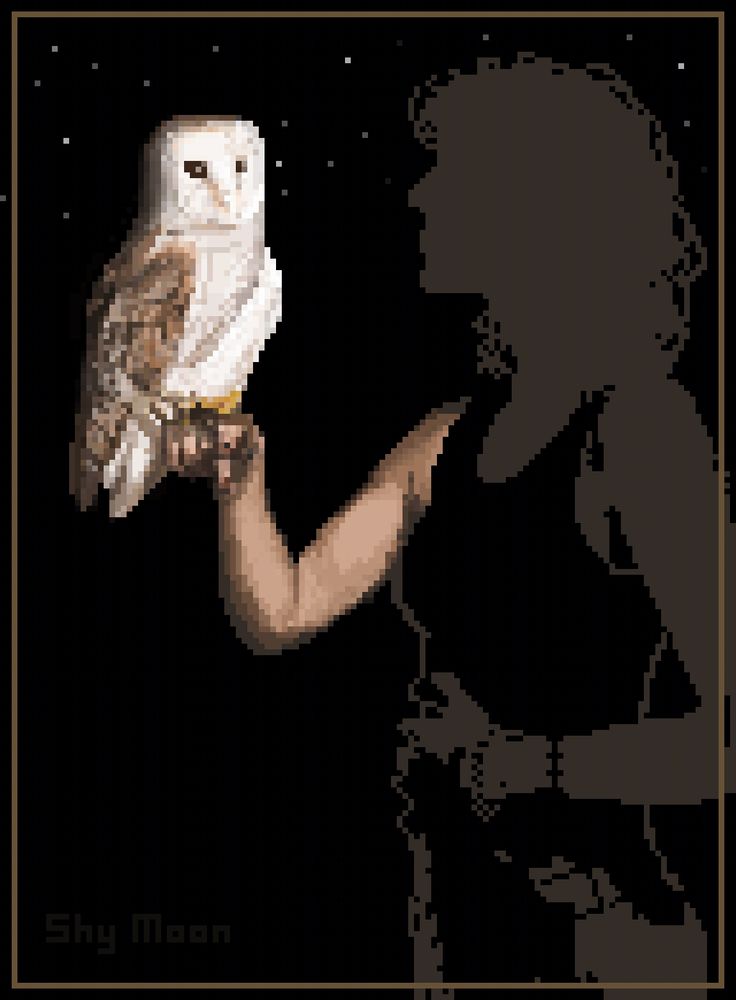 Pixel art based on a photo of King Princess holding a barn own. They are not fully rendered but the owl is. I added in stars
