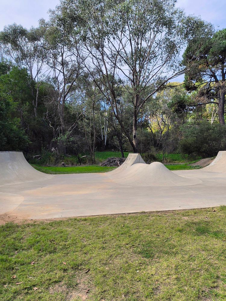 Concrete skatepark backed by a forest