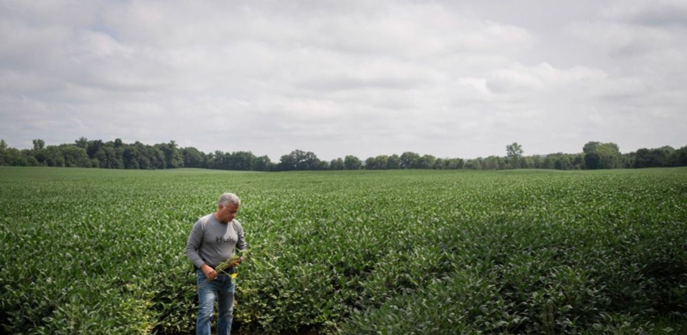 Fossil Fuel Interests Are Working to Kill Solar in One Ohio County. The Hometown Newspaper Is Helping.