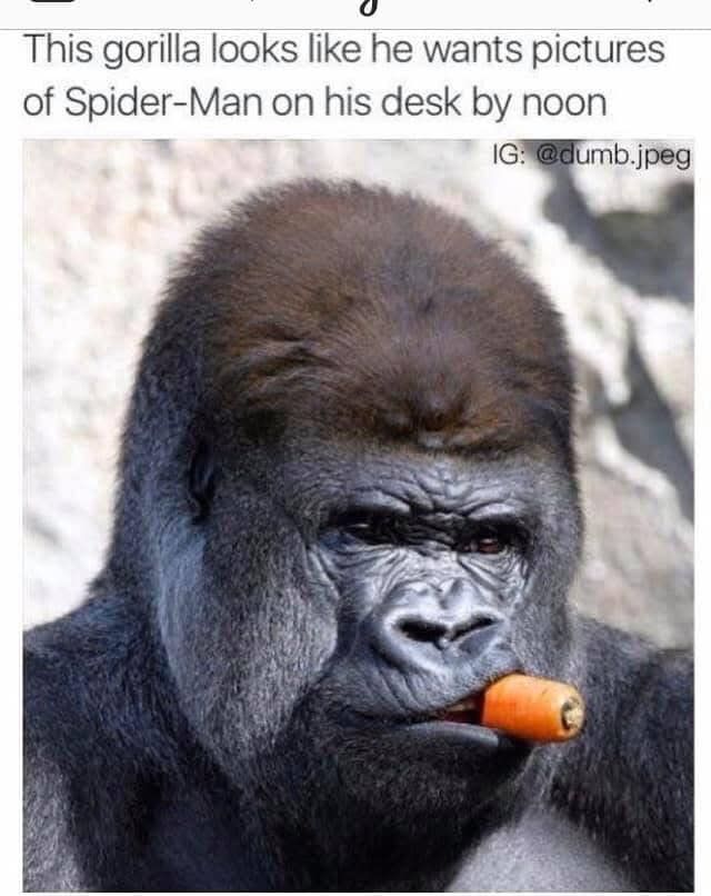 A gorilla is pictured holding a carrot in its mouth, which is reminiscent of the stereotypical image of mid- and late-twentieth century newspaper editors chomping on cigars while barking orders to staff. 
