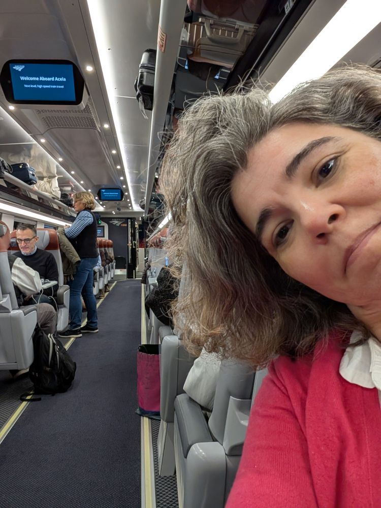 Photo of me in a pink sweater taking a selfie on a cool new train