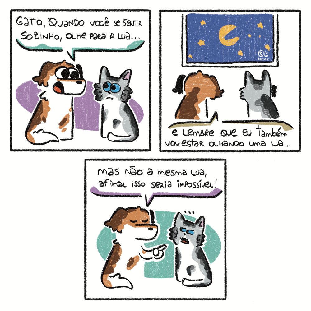 Tirinha dividida em 3 quadros
1 - Lana, a cachorrinha em tons de branco e marrom, aparece conversando com Gato, o gatinho em tons de branco e cinza. Ela fala "Gato, quando você sentir sozinho, olhe para a lua..."
2 - Eles aparecem olhando para o céu estrelado e Lana diz "E lembre que eu também vou estar olhando uma lua..."
3 - Lana completa "Mas não a mesma lua, afinal, isso seria impossível!" e o Gato a encara com uma expressão confusa no rosto