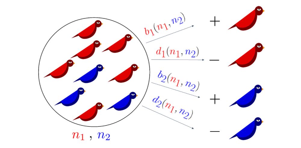 Diagram from “Eco-Evolutionary Dynamics for Finite Populations and the Noise-Induced Reversal of Selection” by Ananda Shikhara Bhat and Vishwesha Guttal (Jan 2025). © University of Chicago