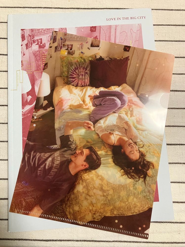 映画『大都会の愛し方』パンフレット