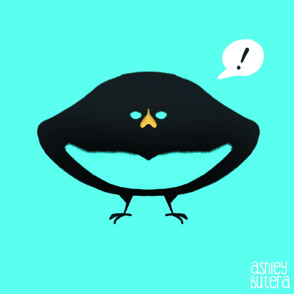Digital art of a front-facing Superb Bird of Paradise very simply done, with a bright teal color for the background.