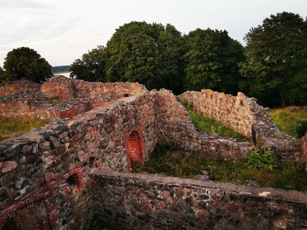 ruins of a medieval castle, pictured from a slightly elevated angle. the ruins are overgrown with greenery and behind them are big old trees. 