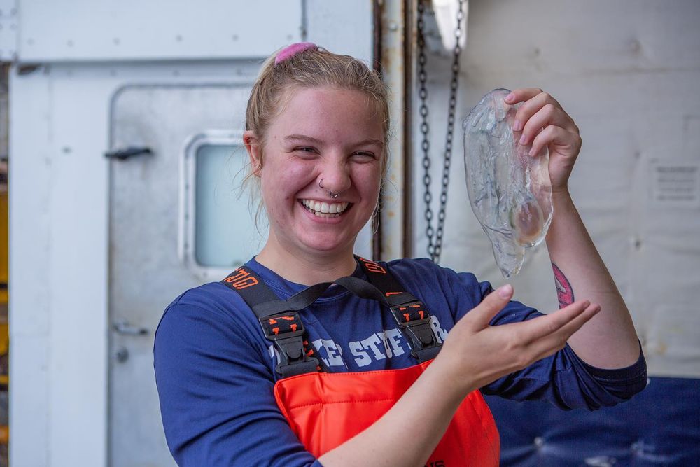 a scientist smiles while holding up a large transparent salp