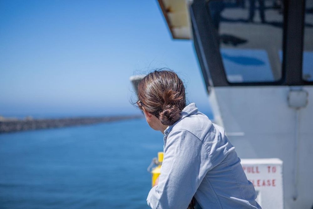 A scientist looks out to sea over the side of a boat in anticipation of the expedition ahead