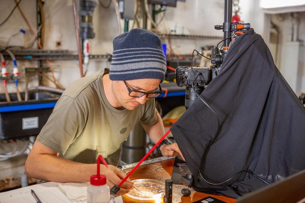 a scientists examines a petri plate of zooplankton under a camera