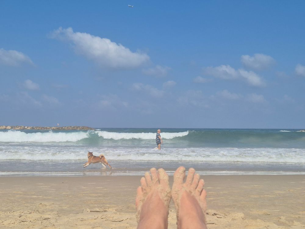 Feet against the sea, horizon, waves, skies, 1 frolicking dog