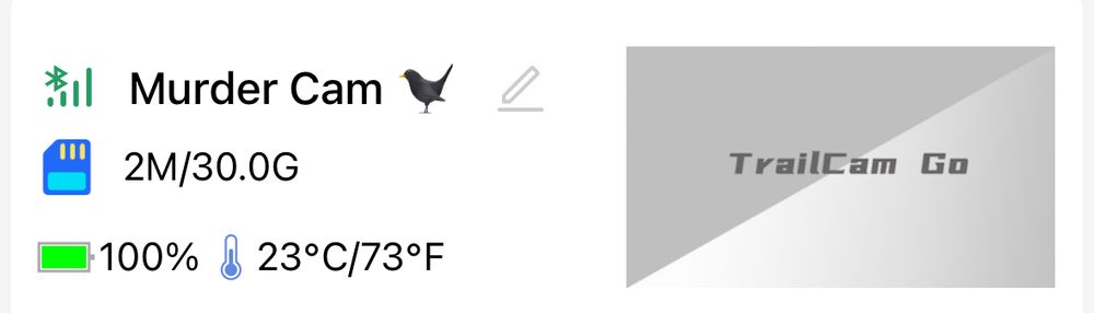 Screenshot of the TrailCam app showing the name of my camera: Murder Cam 🐦‍⬛