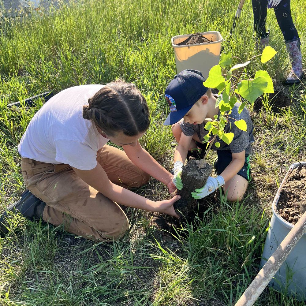 A small boy helping a woman plant a tree