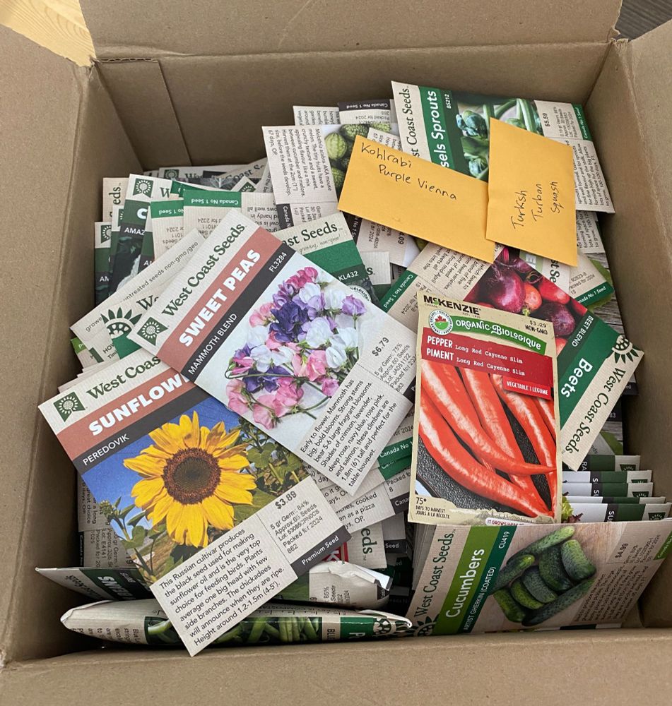 A selection of seed packets in a cardboard box.