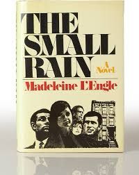 Cover of paperback novel The Small Rain.