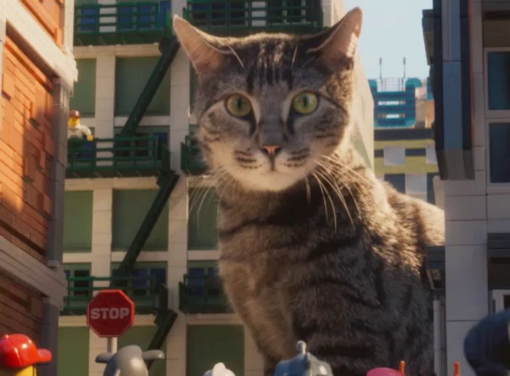 a cat standing next to a stop sign